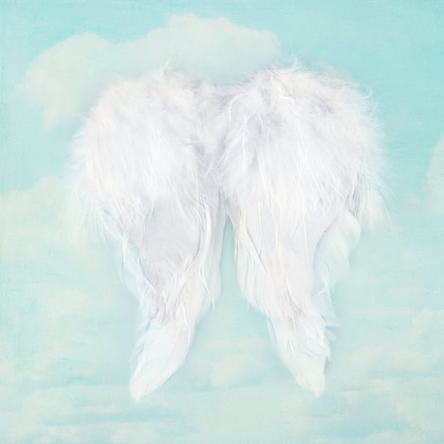 White angel wings on textured sky background